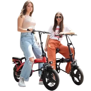 HONEY_WHALE_S6-S_Bicicleta_Eléctrica_Velocidad_Autonomía