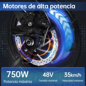 HONEY WHALE S6-S Bicicleta Eléctrica Plegable para Adultos