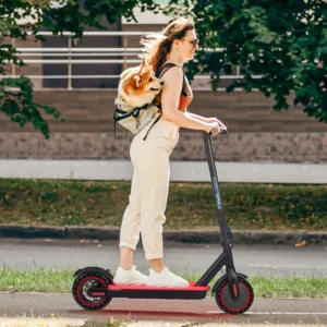 Scooter eléctrico HONEYWHALE S2-V2, 350 W 